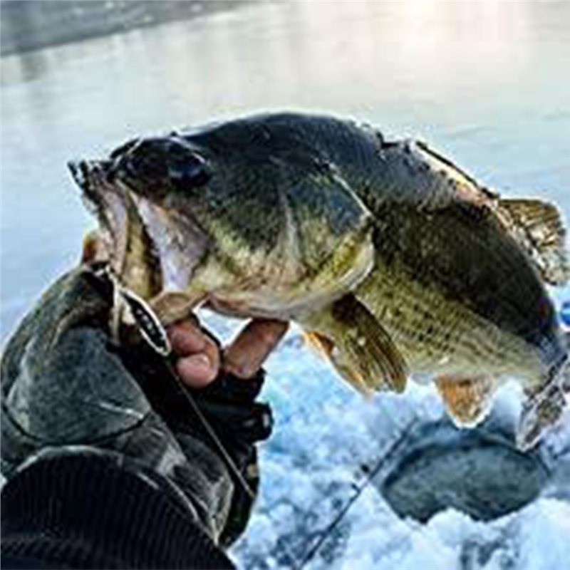 Fishing Boat Depth Finder - ABLB-カヤックボート用魚群探知機トランスデューサー ポータブル魚群探知機 水中ハンドヘルドソナー 投射可能なLCD釣り用機器