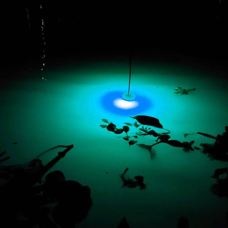 ミニ釣りアトラクションランプ光るルアー LED 点滅集魚灯イ - Fishing Boat Navigation Light のレビューと価格